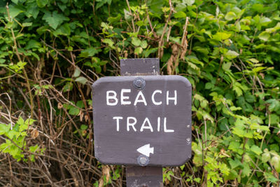 Close-up of sign board by plants