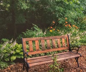 Empty bench on field in park