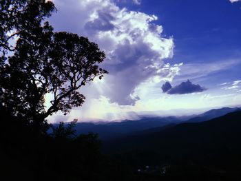 Low angle view of silhouette tree against sky