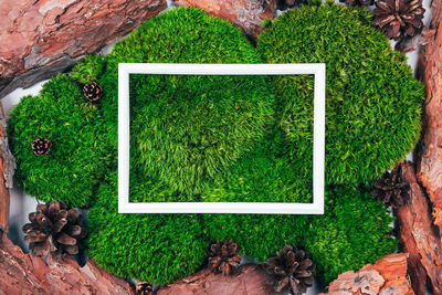 High angle view of soccer ball on field