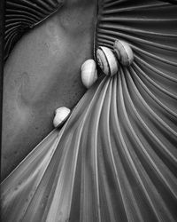 Low section of shoe on wood