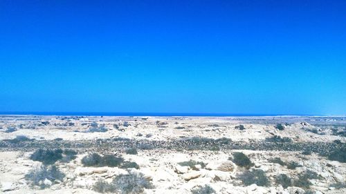 Scenic view of sea against clear blue sky
