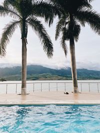 Palm tree by swimming pool against sky