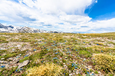 Scenic view of grassy field against cloudy sky