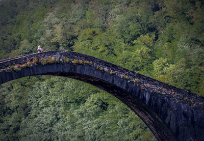 Bridge over trees