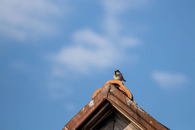 Low angle view of bird perching on roof against sky