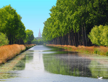 Canal amidst trees against sky