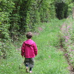 Child in pink on a country lane