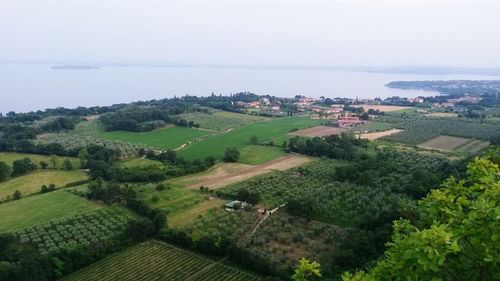 High angle view of sea by trees against sky