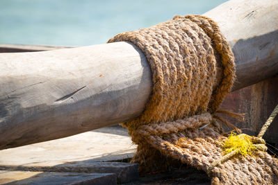 Close-up of rope tied on wood