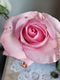 Close-up of rose bouquet