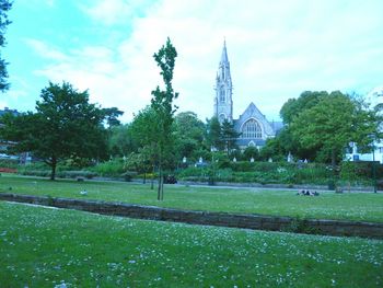 Trees in park