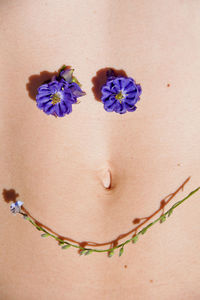 Close-up of purple flowers on abdomen