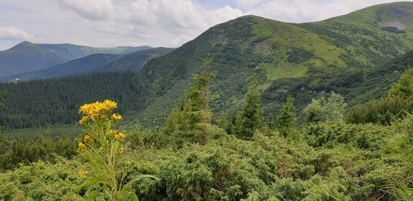 Scenic view of mountains against sky