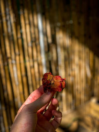 Cropped hand holding dry leaf