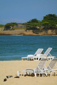 Chairs on beach by sea against blue sky