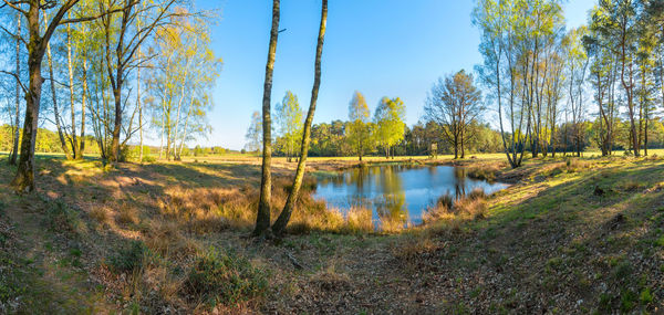 Scenic view of lake by trees against sky