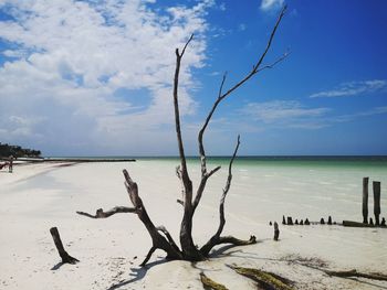 Scenic view of sea against sky holbox island