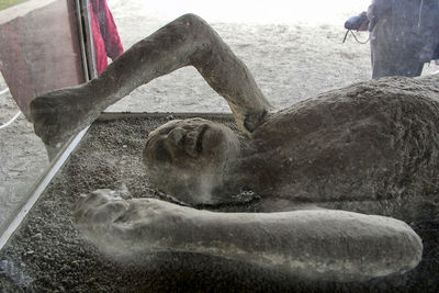 Close-up of human hand with horse in sand