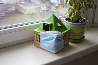 High angle view of potted plant on window sill