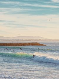 Seagulls flying over sea