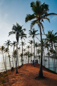 Palm trees on beach against sky