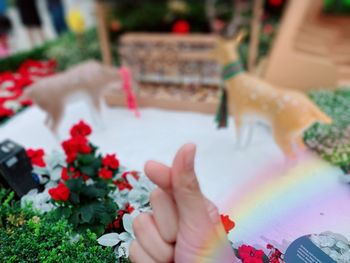 Low section of person hand on red flowering plants