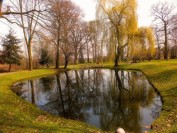 Reflection of trees in lake