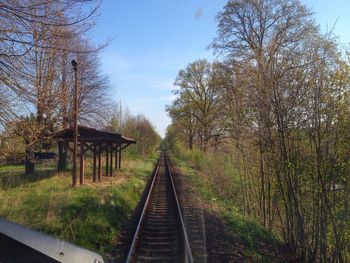 Railroad tracks in forest