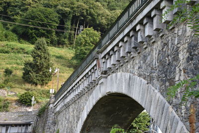 Low angle view of bridge against trees