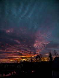 Silhouette of trees at sunset