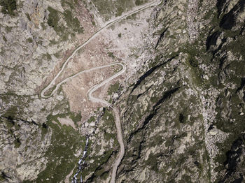 High angle view of winding road amidst trees