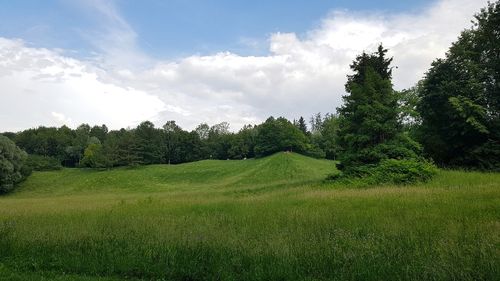 Trees on field against sky