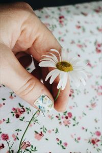 Close-up of hand holding flower