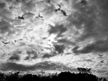 Low angle view of silhouette trees against dramatic sky