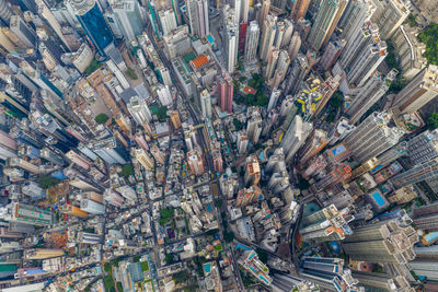 High angle view of tree and buildings in city