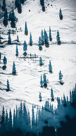 High angle view of snow covered landscape