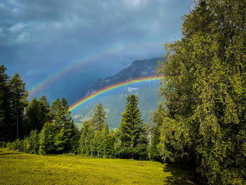 Scenic view of rainbow over trees against sky