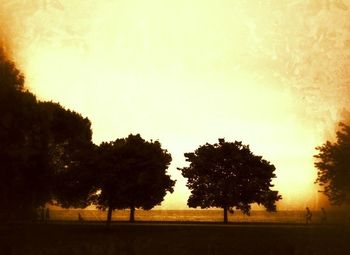 Trees on field at sunset