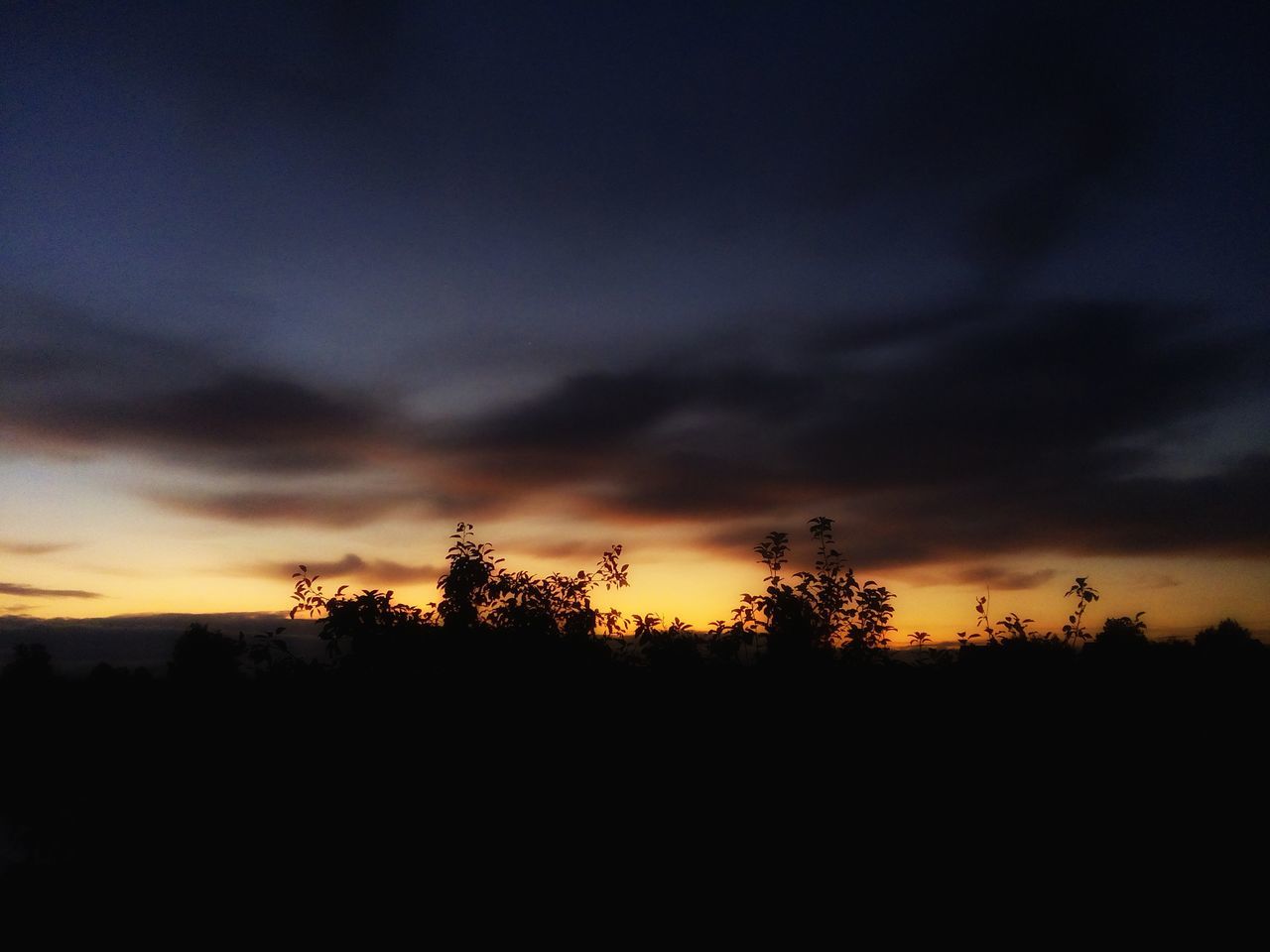 nature, sunset, silhouette, tranquility, beauty in nature, tree, sky, tranquil scene, scenics, no people, landscape, cloud - sky, outdoors, growth, day