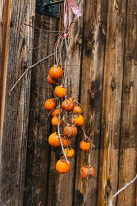 Rotten orange fruits hanging on wooden wall
