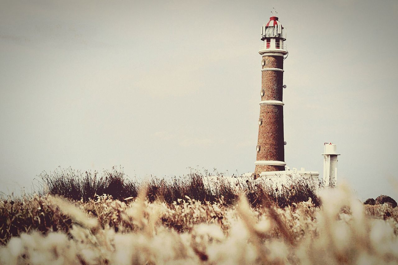 clear sky, built structure, lighthouse, architecture, copy space, protection, guidance, building exterior, safety, low angle view, security, tower, direction, nature, growth, outdoors, sky, day, no people, tranquility