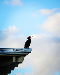 Low angle view of bird perching on roof against sky