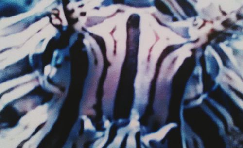 Full frame shot of abstract background