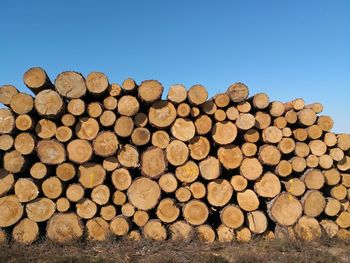 Stack of logs in forest against clear sky