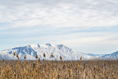 Scenic view of snowcapped mountains against sky