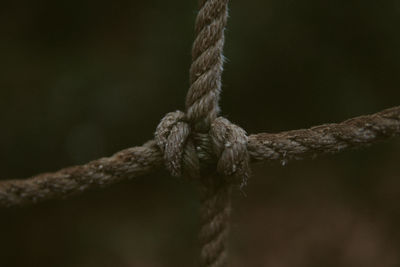 Close-up of rope tied on wood