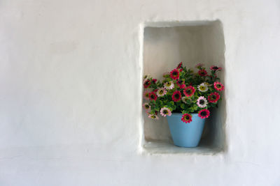 Potted plant on niche against white wall