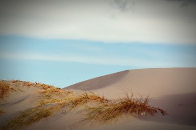 Scenic view of desert against sky