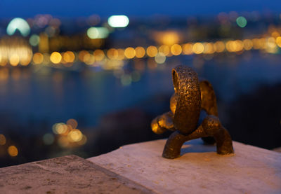 Close-up of illuminated bird on retaining wall at night